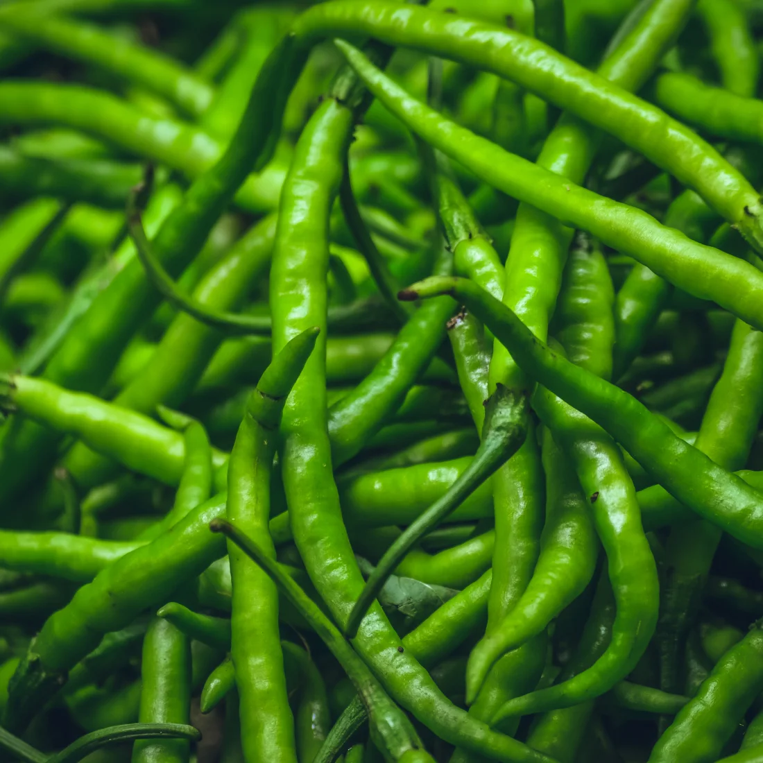Green Chillies