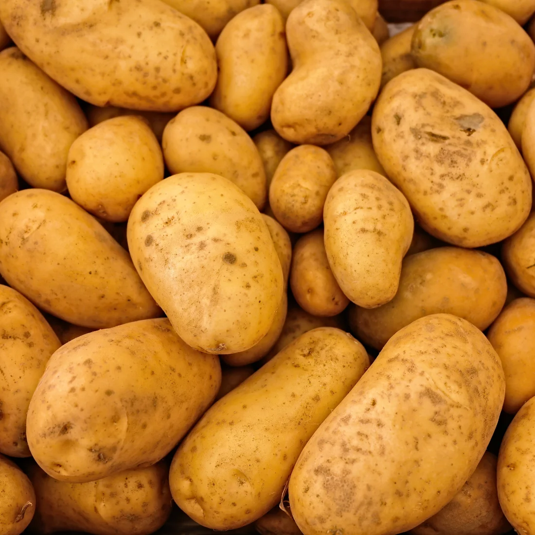 Chandramukhi Potato